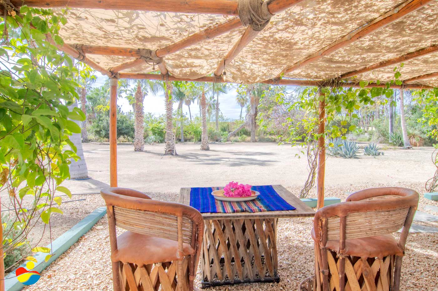 Casa Tortuga of Todos Santos 1