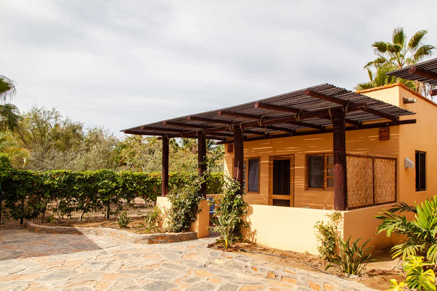 Blue Turtle Casita Caretta