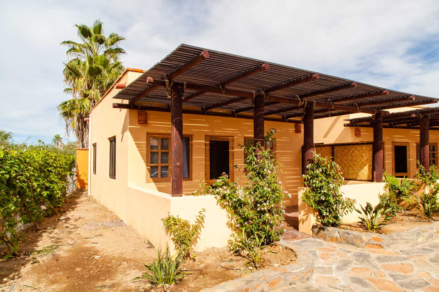 Blue Turtle Casita Oliva